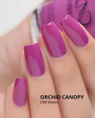 ORCHID CANOPY